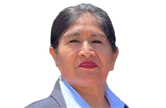 Lic. Inés Felicita Llacta Valencia